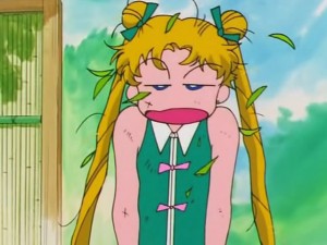 screenshot-anime-sailor-moon-s-episode-104-380.jpg