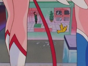 screenshot-anime-sailor-moon-sailor-stars-episode-178-447.JPG