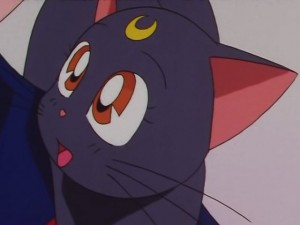screenshot-anime-sailor-moon-sailor-stars-episode-178-549.JPG