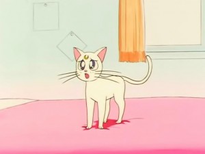 screenshot-anime-sailor-moon-sailor-stars-episode-192-024.jpg