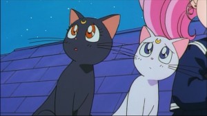 Sailormoon-R (1697).jpg