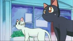 Sailormoon-R (689).jpg