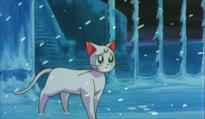 SailormoonS-movie (1611).jpg