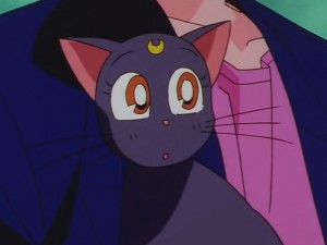 screenshot-anime-sailor-moon-sailor-stars-episode-178-023.JPG