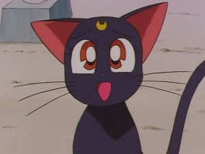 screenshot-anime-sailor-moon-sailor-stars-episode-178-100.JPG