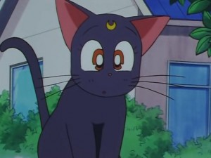 screenshot-anime-sailor-moon-sailor-stars-episode-178-121.JPG