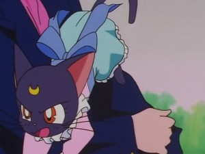 screenshot-anime-sailor-moon-sailor-stars-episode-178-323.JPG