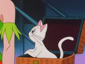 screenshot-anime-sailor-moon-sailor-stars-episode-191-544.jpg