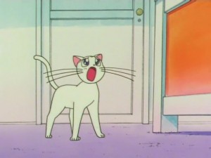 screenshot-anime-sailor-moon-super-s-episode-133-172.jpg