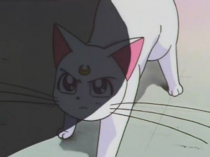 screenshot-anime-sailor-moon-super-s-episode-133-335.jpg