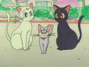 screenshot-anime-sailor-moon-super-s-episode-133-475.jpg