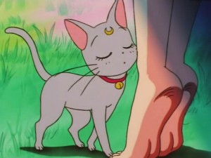 screenshot-anime-sailor-moon-super-s-episode-137-200.jpg