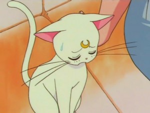 screenshot-anime-sailor-moon-super-s-episode-141-084.jpg