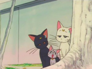 screenshot-anime-sailor-moon-super-s-episode-152-186.jpg