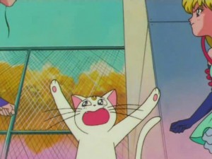 screenshot-anime-sailor-moon-super-s-episode-154-299.jpg