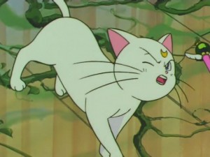screenshot-anime-sailor-moon-super-s-episode-154-419.jpg