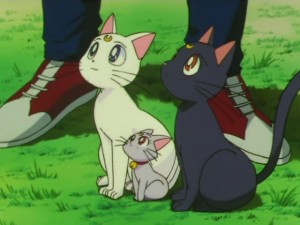 screenshot-anime-sailor-moon-super-s-episode-166-412.jpg