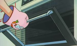 "Секрет" из Sailor Moon Super S movie