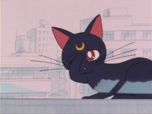 SailorMoon-s1-004(251).jpg