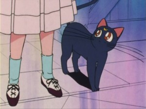 SailorMoon-s1-012(146).jpg