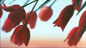 Sailormoon-R (63).jpg