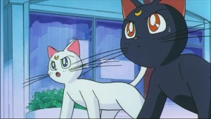 Sailormoon-R (757).jpg