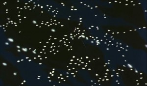 SailormoonS-movie (1323).jpg