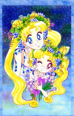 manga-sailor-moon-2-edition-shinsouban-volume-9-007.jpg