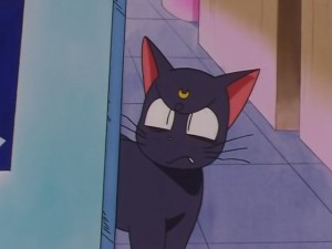 screenshot-anime-sailor-moon-sailor-stars-episode-178-161.JPG