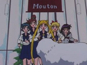 screenshot-anime-sailor-moon-sailor-stars-episode-178-339.JPG