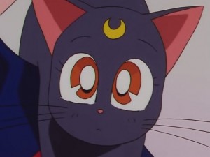 screenshot-anime-sailor-moon-sailor-stars-episode-178-550.JPG