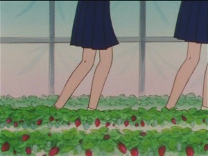 screenshot-anime-sailor-moon-sailor-stars-episode-179-078.JPG