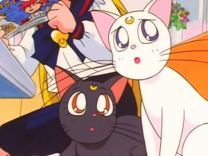 screenshot-anime-sailor-moon-sailor-stars-episode-192-052.jpg