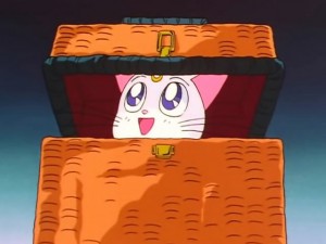 screenshot-anime-sailor-moon-sailor-stars-episode-192-137.jpg