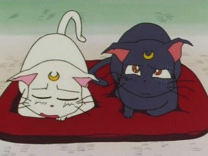 screenshot-anime-sailor-moon-super-s-episode-131-241.jpg