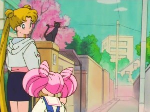 screenshot-anime-sailor-moon-super-s-episode-133-048.jpg
