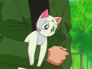 screenshot-anime-sailor-moon-super-s-episode-133-063.jpg