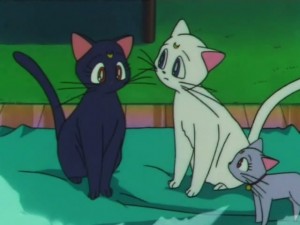 screenshot-anime-sailor-moon-super-s-episode-164-012.jpg
