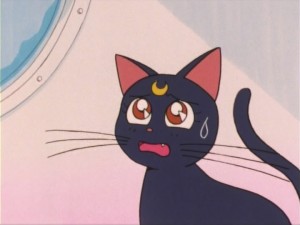 SailorMoon-s1-012(257).jpg