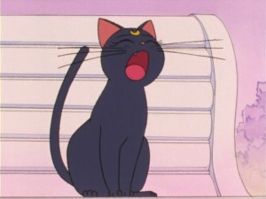 SailorMoon-s1-012(93).jpg