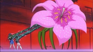 Sailormoon-R (553).jpg