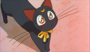 SailormoonS-movie (1000).jpg