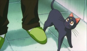 SailormoonS-movie (395).jpg