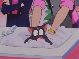 screenshot-anime-sailor-moon-sailor-stars-episode-178-233.JPG