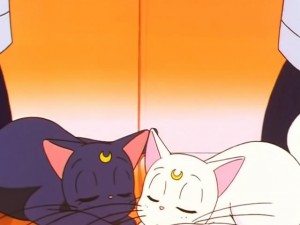 screenshot-anime-sailor-moon-sailor-stars-episode-192-035.jpg