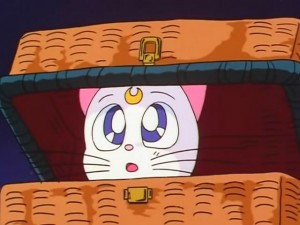 screenshot-anime-sailor-moon-sailor-stars-episode-192-286.jpg