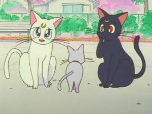 screenshot-anime-sailor-moon-super-s-episode-133-485.jpg