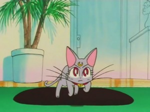 screenshot-anime-sailor-moon-super-s-episode-136-033.jpg