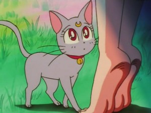 screenshot-anime-sailor-moon-super-s-episode-137-199.jpg