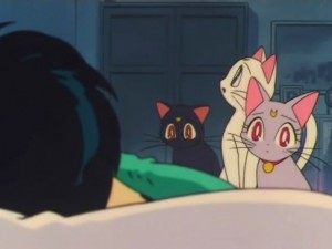 screenshot-anime-sailor-moon-super-s-episode-164-009.jpg